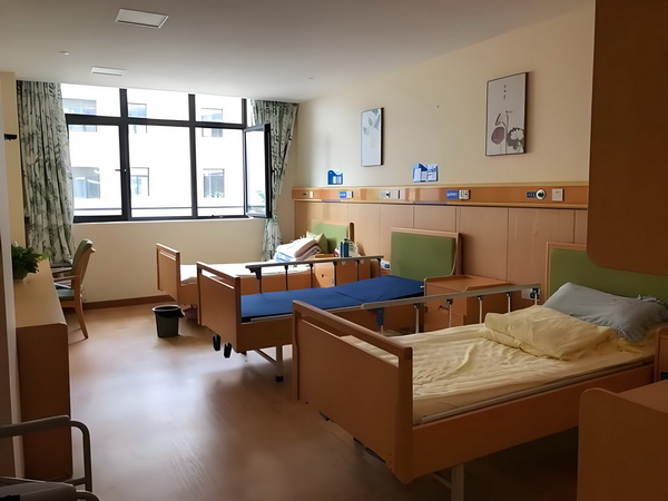 深圳市积分入户申请_闵行区双柏路梅陇敬老院_养老服务平台 快车撞上一辆野猪城际
